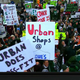 Illustration for article titled Urban Meyer Is A Juggalo: Your emCollege GameDay/em Sign Roundup